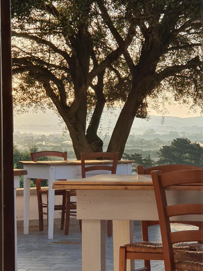 Nacchinono Bed & Breakfast Olbia Exterior photo